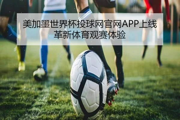 美加墨世界杯投球网官网APP上线 革新体育观赛体验